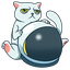 cat-token